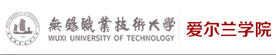 爱尔兰学院